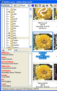 IPTC Data in the Browse Window