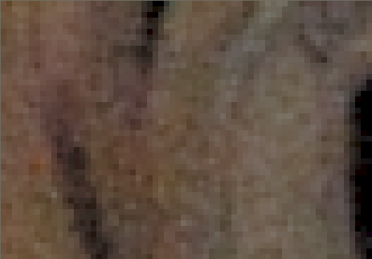 Raw Image Raw Image
