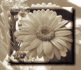 Picture on Picture