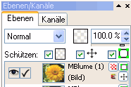 Layer Panel