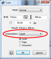 Scale Layer