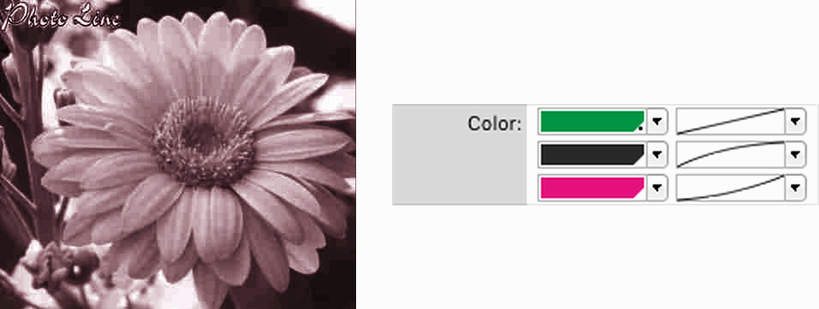 Multichannel Images